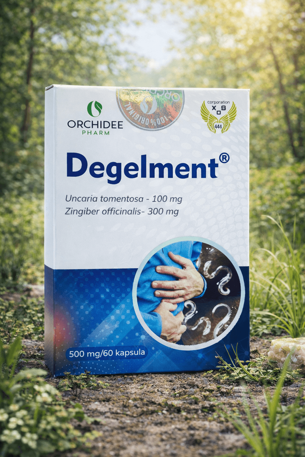 Degelment